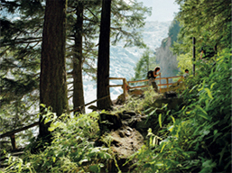 Discover Sunparks